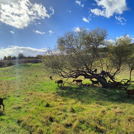 Agriturismo Podere Le Fornaci เกรเว อิน เคียนตี ภายนอก รูปภาพ
