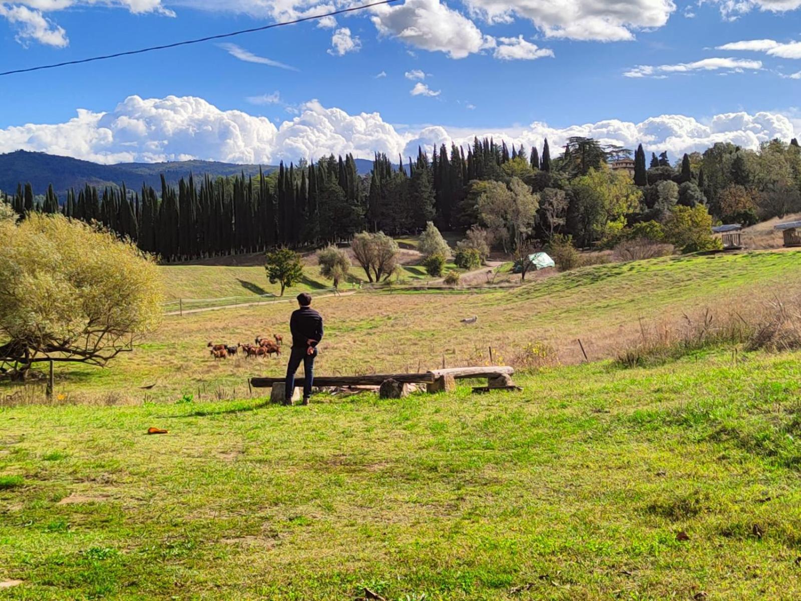 Agriturismo Podere Le Fornaci เกรเว อิน เคียนตี ภายนอก รูปภาพ